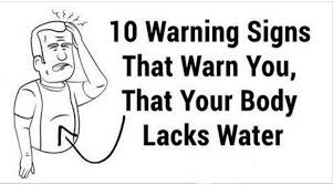 10 warning signs that your body is lacking water plexus