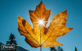 When Is the First Day of Fall 2025? Autumn Equinox Explained - Parade