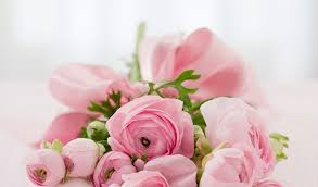 Do you know what flowers mean in dreams? Dreams About Flowers Meaning And Interpretation