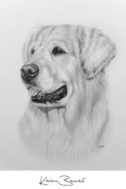 Doch bei all den sorten, die zur auswahl stehen, fällt die entscheidung oft gar. Golden Retriever Graphite Art Hund Zeichnen Hund Zeichnungen Hund Malen