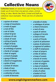 Pin On English Grammar Collective Nouns English Vocabulary Words English Collective Nouns