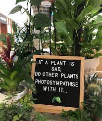 R/gardening is a place for the best guides, pictures, and discussions of all things related to plants and their care. Pin On Dream Houseplant Collections