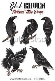 Image Result For Crow Traditional Tattoo Traditional Tattoo Crow Crow Tattoo Design Traditional Tattoo Art
