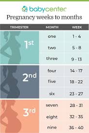 Calculadora Gestacional De Meses Para Semanas Pin On Pregnancy
