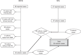 Flow Chart Of The Cases Of Central Nervous System