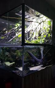 Awesome Monster Fish Paludarium Outdoor Fish Tank Monster Fishing Fish Tank