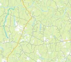 John Randle-Mary Frances Randolph, Marriage, Family, Genealogy