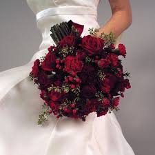Pin On Beautiful Flowers