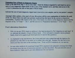 Read more dna analysis os answer key : Solved I Don T Know If I M Doing This Lab Plasmid Isolat Chegg Com