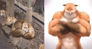 Different Artists Re Imagine Animals As Buff And We Can T Unsee It Funny Animal Photos Funny Animals Animal Captions