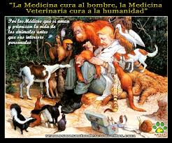 El día mundial del médico veterinario fue establecido por la asociación veterinaria mundial (wva) en el año 2000, y se celebra anualmente el último sábado de abril. Dia Del Medico Veterinario Seamos Mas Animales Como Ellos Smace
