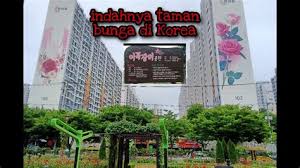 Berbagai jenis tanaman bunga bisa kita temui di taman bunga cihideung ini, dari mulai tanaman hias hingga tanaman potong. Taman Bunga Korea Selatan 4 Taman Bunga Di Korea Ini Wajib Dikunjungi Saat Musim Panas Wisatakorea Vadevoz Sonetos