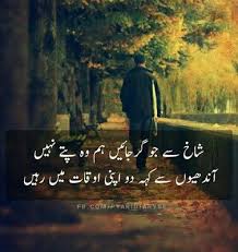 Pin by Dreaming Boy on Amore 4ever❤ | Poetry quotes in urdu, Best ...