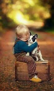 ahmet krtl hayvanlar hayvan kopek