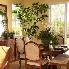 We did not find results for: How To Care For Fishtail Palm Hgtv
