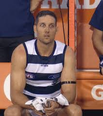Search, discover and share your favorite geelong cats gifs. Harry Taylor Football Gif By Geelongcats Find Share On Giphy