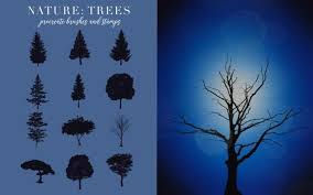 We did not find results for: 128 Tree Procreate Stamps Tree Procreate Brushes Nature Etsy Tree Stamp Procreate Tree Brushes Free Nature Artwork