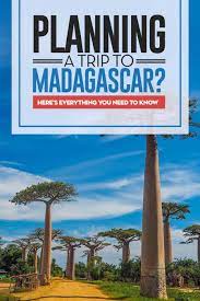 Madagascar Travel Guide Everything You Need To Know Before Traveling To The Island Of Lemurs Madagascar Travel Africa Travel Africa Travel Guide