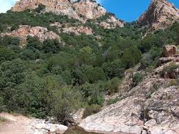 Pin By Sutori On Ancient Civilizations Mediterranean Forest Geography Fantasy Landscape