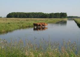 Pin Van Henk Op De Onlanden Groningen Drenthe Nederland Groningen Noordzee