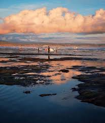 mark your calendar california king tides are coming