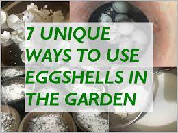 Super fun and quick, depending on how many eggshells you use. 7 Ways To Use Eggshells In The Garden Gardening For Beginners