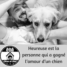 heureuse la personne qui a gagne l amour d un chien abc chien et chat chien chat chien chat