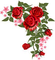 Vector Rosa Png Png Transparent Flower Vector 695x750 Floral Painting Rose Petals Drawing Transparent Flowers