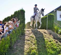Continual investments in technology and product innovation enable us to meet current needs and anticipate future trends. King Of The Derby Peder Fredricson Won Falsterbo Horse Show Facebook
