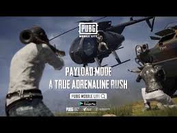 Download Pubg Mobile Lite On Pc With Bluestacks In 2020 Lite App Hack Last Man Standing