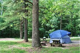 Best Camping In Indiana 10 Sites Including Indiana Dunes
