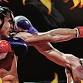 All-City Fight Night