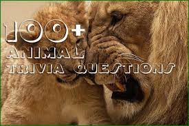 A lot of individuals admittedly had a hard t. 100 Animal Trivia Questions