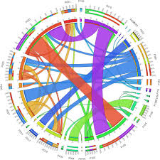 Νευροπλοήγηση η νευροπλοήγηση κατάφερε να οδηγήσει με ασφάλεια το νευροχειρουργό στα πιο απόκρυφα μονοπάτια του ανθρώπινου εγκέφαλου όπως το gps κατάφερε… η θέση της ελάχιστα. Dealing With Difficult Minority Labels In Imbalanced Mutilabel Data Sets Sciencedirect
