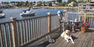 Family pet practice is your local veterinarian in wixom serving all of your needs. Pet And Dog Friendly Lodgings In New England