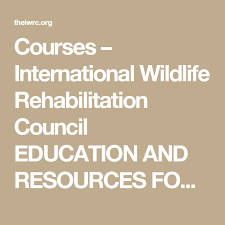 Courses Wildlife Rehabilitation Education Future Jobs