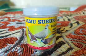 Cara agar burung kenari cepat bertelur. Jamu Subur Uritan Jamu Herbal Buat Burung Perkutut Tekukur Dan Puter Shopee Indonesia