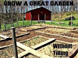 Check spelling or type a new query. Https Www Grit Com Farm And Garden Do It Yourself No You Do Not Need To Till Your Garden Do This Instead Zb0z1604