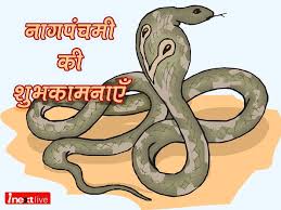 This year, it will be celebrated on 25 july (saturday). Happy Nag Panchami 2021 Wishes Images Messages Quotes Shayari Sms Greetings Gif Photos Pics Facebook And Whatsapp Status Wallpapers To Share For Celebrating Snake Festival In Sawan 2020 Inext Live