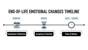 A Compassionate Guide to Understanding End of Life Signs