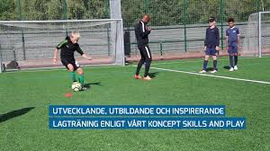 Diskutera och följ sverige fotboll här på sportlovin. Svenska Fotbollsakademin