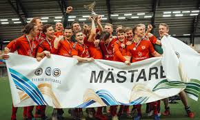Maybe you would like to learn more about one of these? Vi Vann Ligacupen 2018 2019 Ungdomsfotboll Se Sveriges Storsta Sajt For Pojkfotboll Flickfotboll