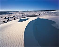Mountain pest control™ is a locally owned and operated pest management and extermination service and is a long standing member in the national pest management and the colorado pest control associations. Dunes The Waterless Sea New Zealand Geographic