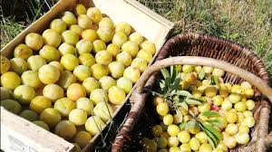 Decouvrez Les Producteurs Locaux De La Region De Rambervillers