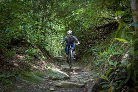 This public park on the blue ridge parkway is a hiker's dream since it has 25 miles of historic carriage roads that are now wide trails with a very gradual incline. Black Mountain Trail 127 Mountain Bike Trail Brevard North Carolina