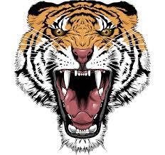 Download free tiger png images. Black Tiger Transparent Background Novocom Top