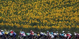 Roglic is the man to beat in liege. Fotostrecke 16 Etappe Gilbert Sturz Keine Attacken Alaphilippe Sieg Maz Markische Allgemeine