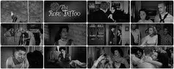 Film Review The Rose Tattoo 1955 Film Anna Magnani Rose Tattoo