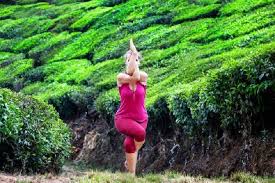 Expands the lungs to their full capacity. The 26 Poses Of Bikram Yoga Doyou