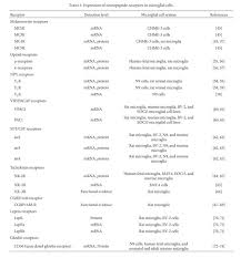 Gale Academic Onefile Document Neuropeptides And Microglial Activation In Inflammation Pain And Neurodegenerative Diseases